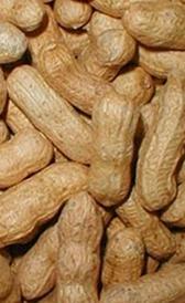 cacahuete, alimento preteneciente a la categoría de los frutos secos