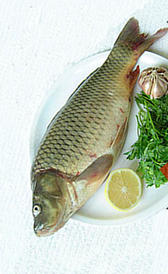 carpa, alimento preteneciente a la categoría de los pescado azul