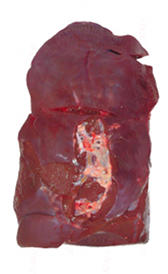 Hígado de ternera