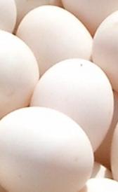 Propiedades de los huevos de pato