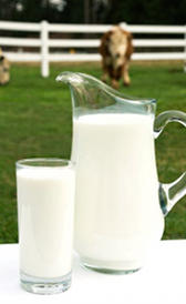 calorías de la leche entera de vaca