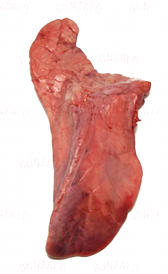 pulmón de cerdo, alimento rico en vitamina D y hierro