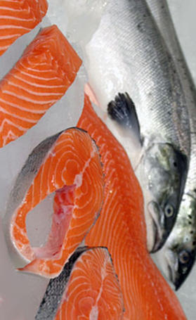 salmón, alimento rico en vitamina B7 y vitamina E