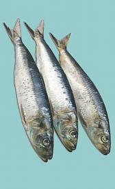 sardina, alimento rico en potasio