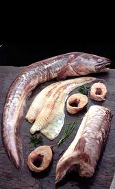 abadejo, alimento preteneciente a la categoría de los pescado blanco