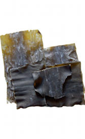 algas kelp crudas, alimento rico en vitamina B5 y vitamina K