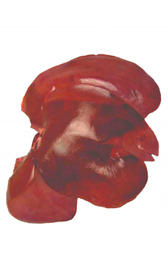 hígado de cerdo