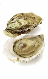 Propiedades de las ostras